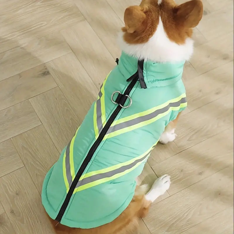 FurMax™ | Laat je hond nooit meer kou lijden