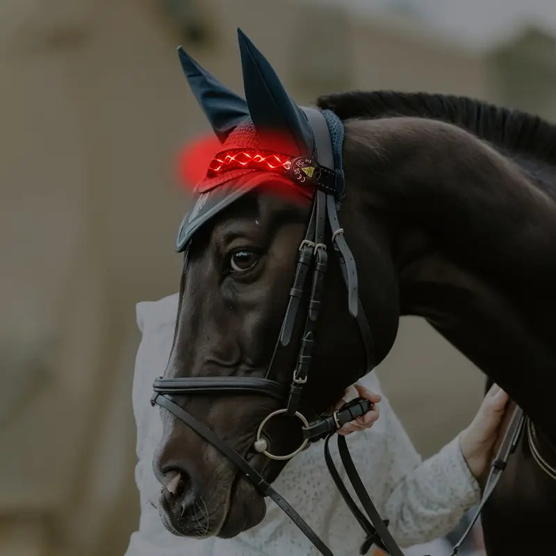 LumaRide™ | Veilige LED-verlichte hoofdriem voor paarden