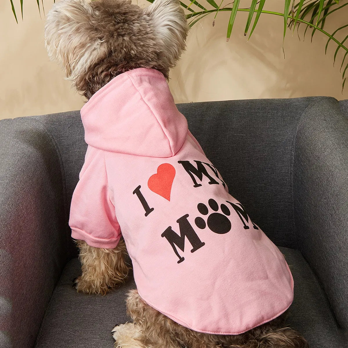 SweetPaws™ | Geen bibberende en ongelukkige honden meer