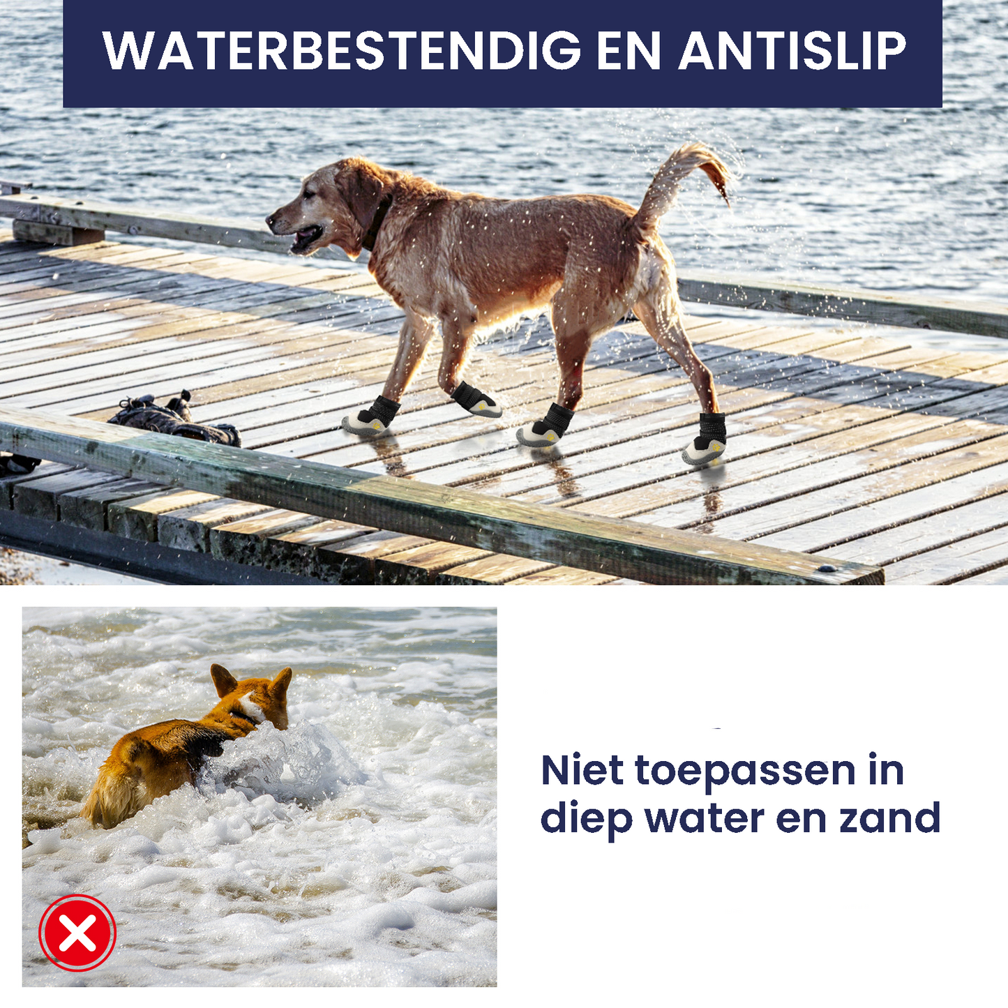 PawCooler™ | Koelende Potenbescherming