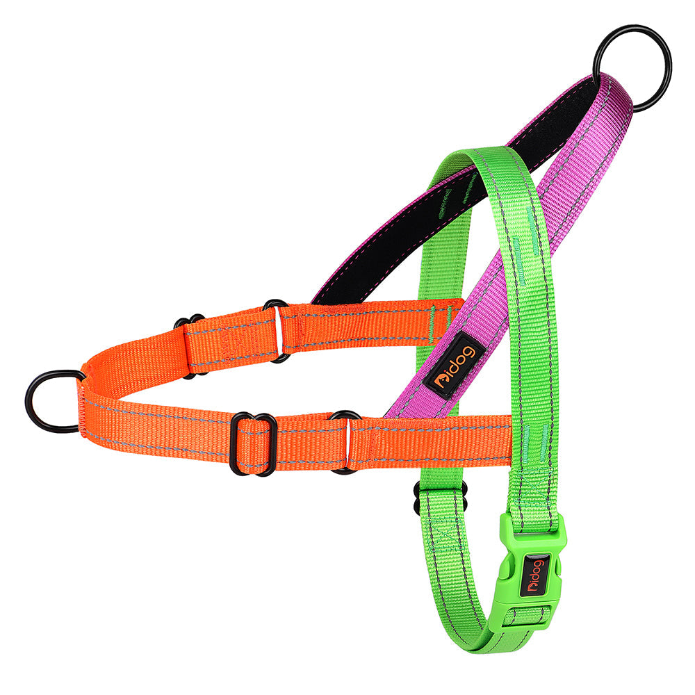 LumaPaw™ | Voor Stressvrije Wandelingen en Volledige Controle