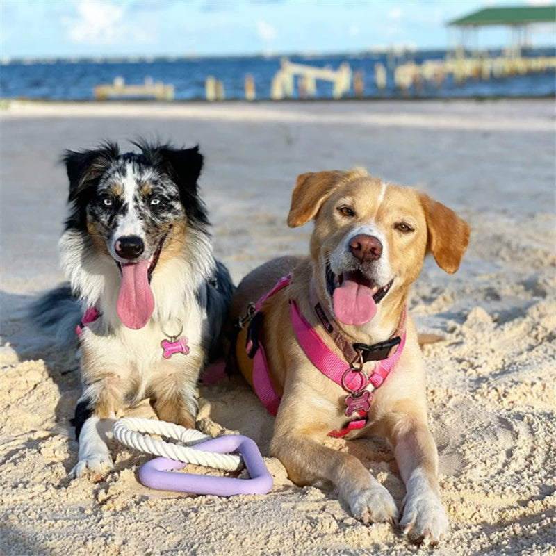 RopieDog™ | Robuust Honden Speeltje