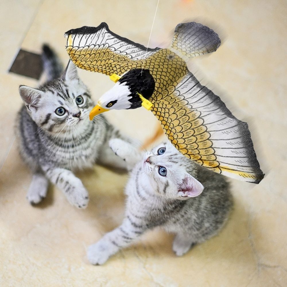SkyClaw™ | Vliegend speelplezier voor je kat