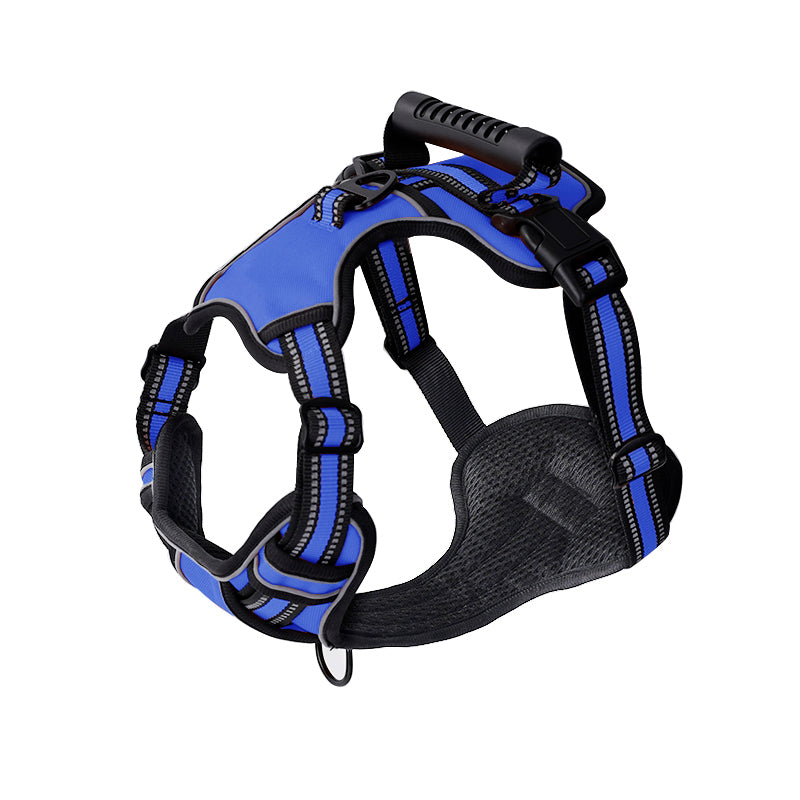 GlowFit™ | Stressvrij wandelen zonder trekken
