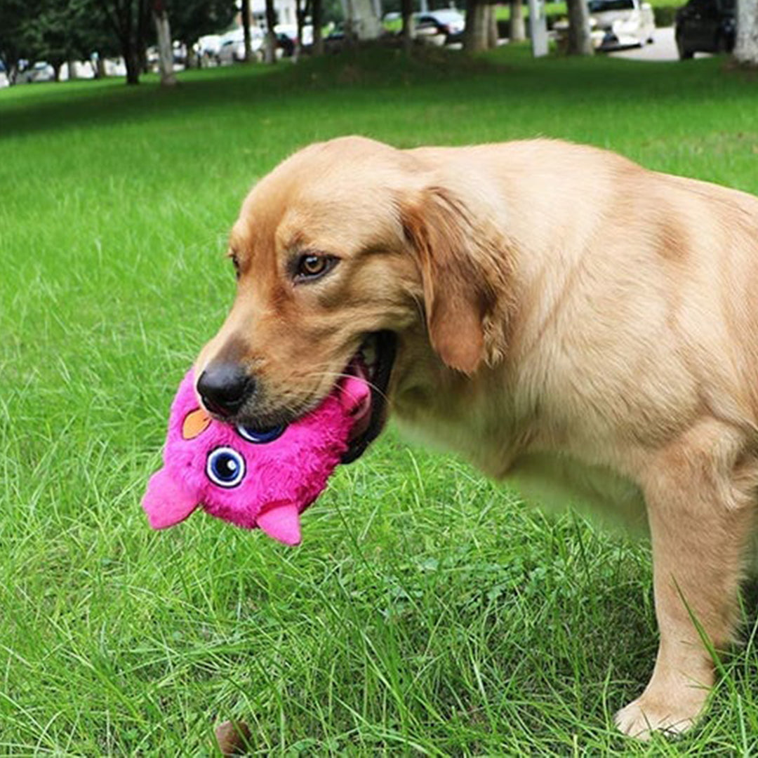 Monster Active Ball voor honden