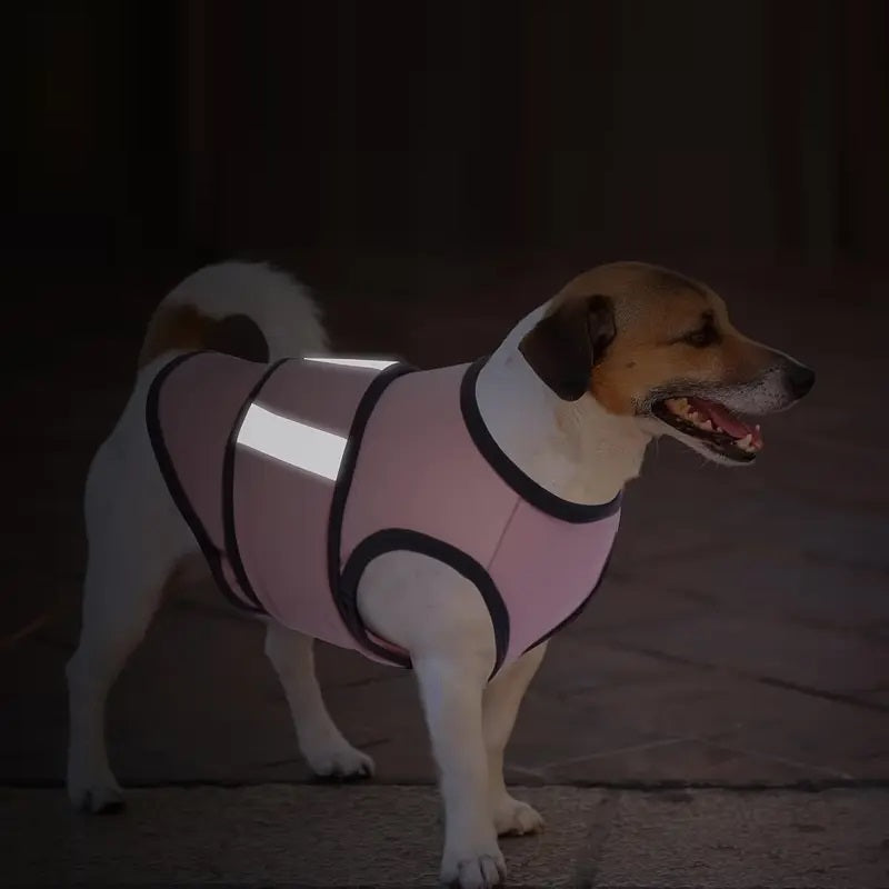 CalmPet™ | Kalmerend vest tegen angst en stress