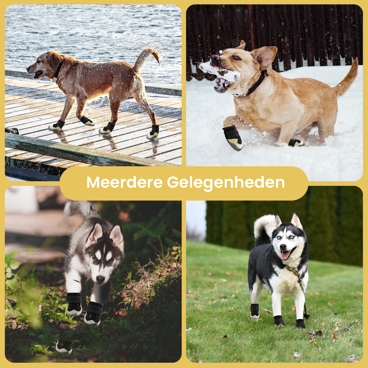 PawCooler™ | Koelende Potenbescherming