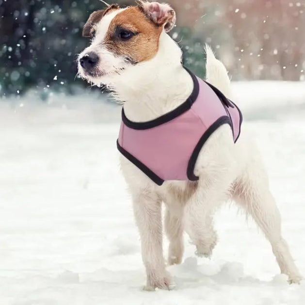 CalmPet™ | Kalmerend vest tegen angst en stress