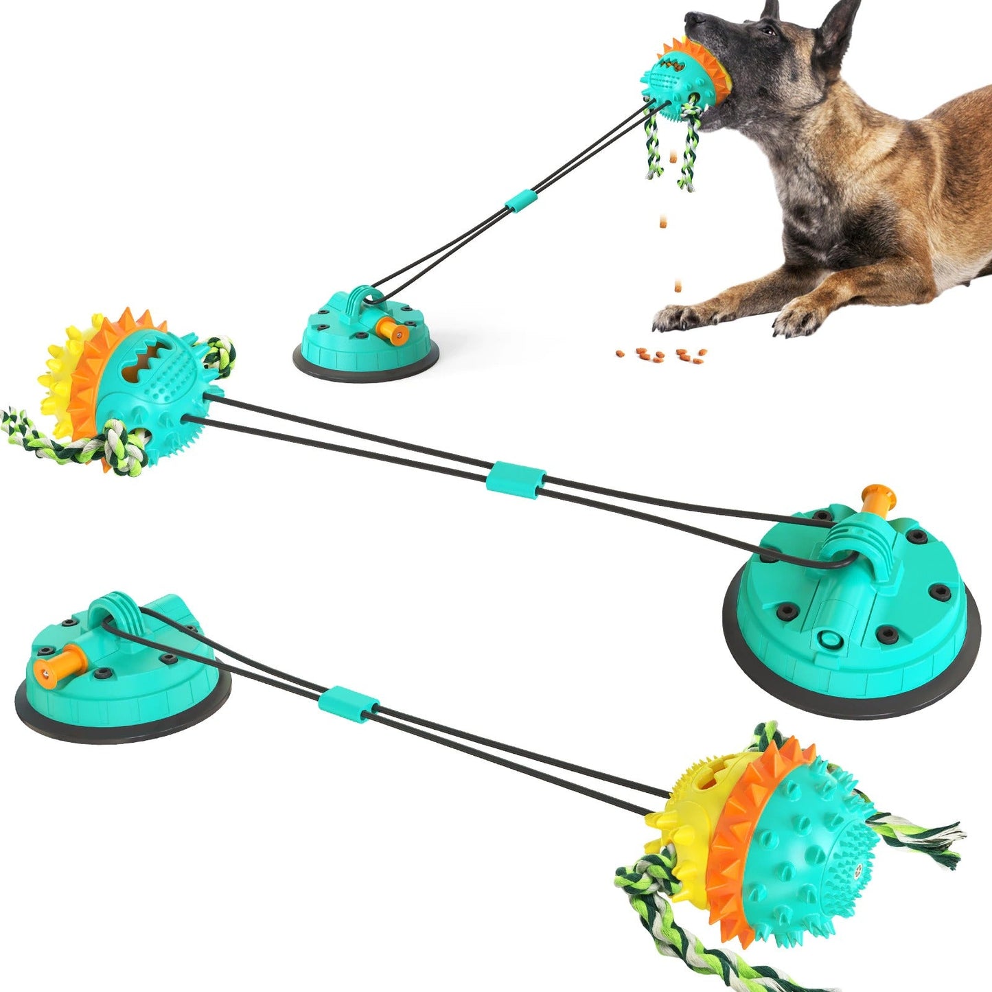 Clawzy™ | Voor Actieve Huisdieren