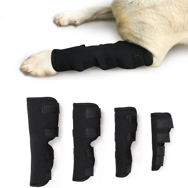 ActivePaw™ | Kniebrace voor veilige en pijnvrije beweging