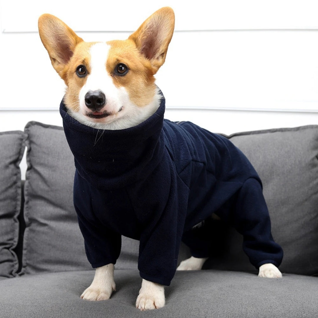 ComfyTail™ | Hondenjumpsuit tegen kou en gewrichtsproblemen
