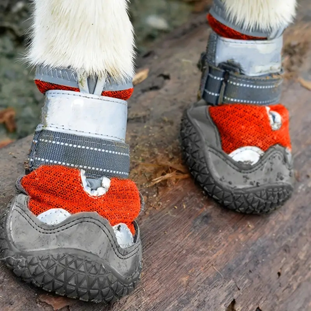 RuffStep™ | Laarzen Hond voor Hitte en Kou