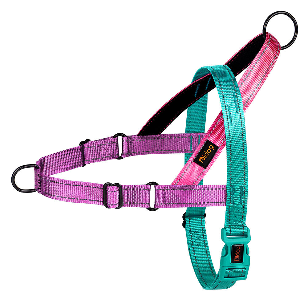 LumaPaw™ | Voor Stressvrije Wandelingen en Volledige Controle