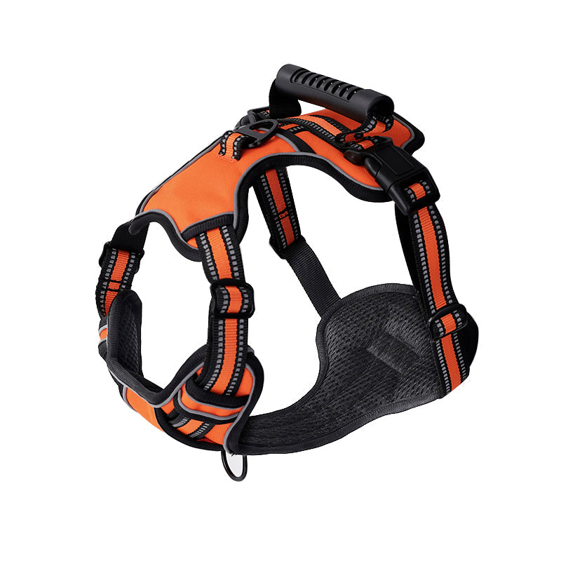 GlowFit™ | Stressvrij wandelen zonder trekken