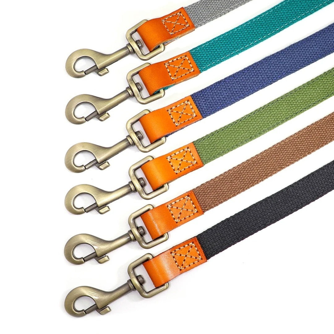 WalkPro™ | Perfecte Controle en Comfort