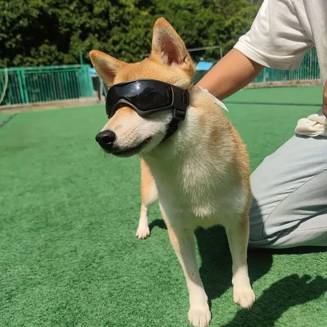 FurrVision™ | UV- en Windbescherming