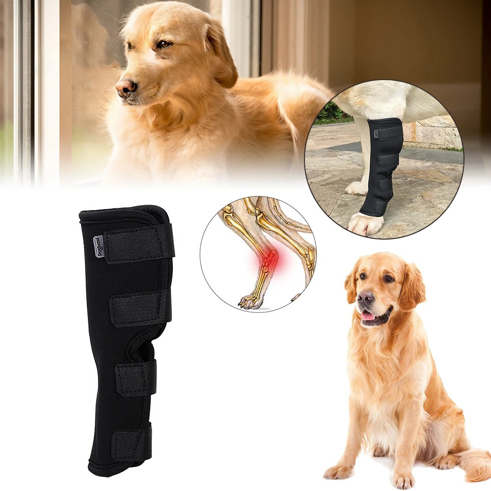 ActivePaw™ | Kniebrace voor veilige en pijnvrije beweging