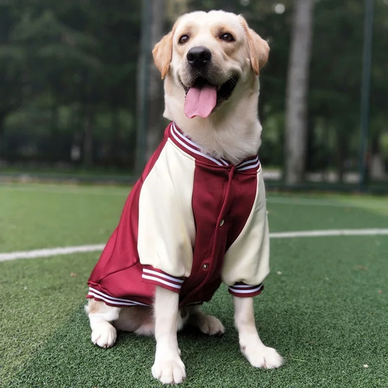 PawBase™ | Houd je Huisdier Altijd Droog en Fris