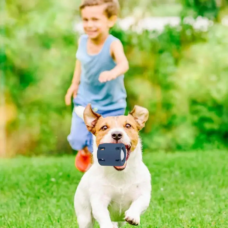 RolliePaw™ | Actief Speelgoed voor Honden