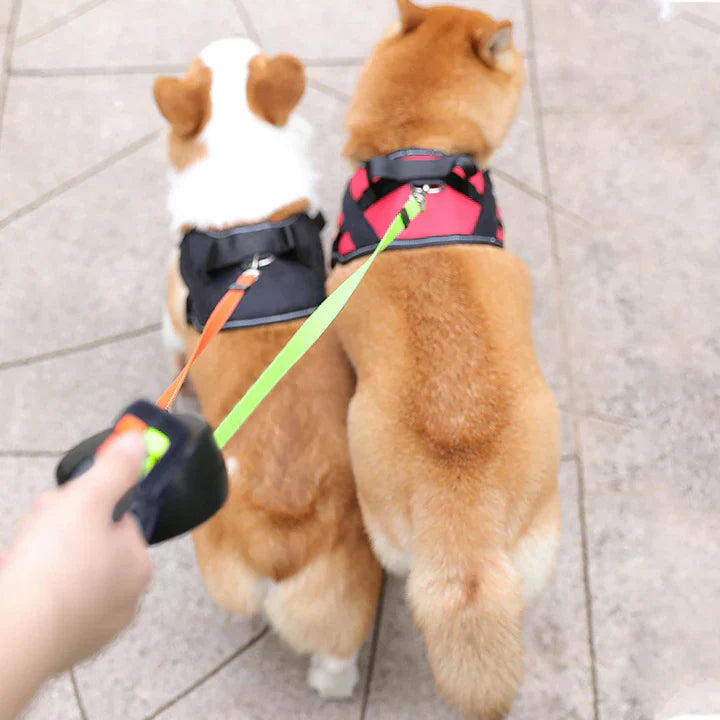 DogDuo™ | Riem met Antiknoop Technologie