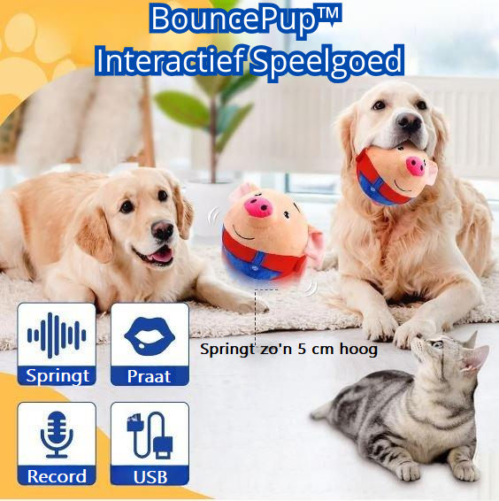 BouncePup™ | Stop Verveling en Bescherm Je Meubels