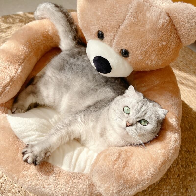 SnugBuddy™ | Verstelbare knuffelbeer