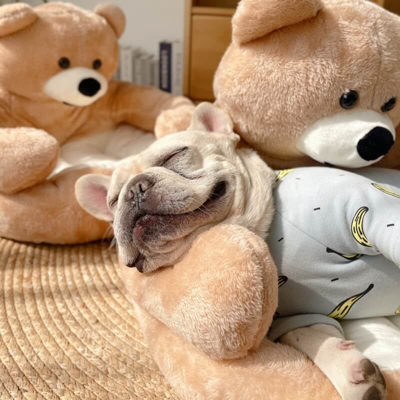 SnugBuddy™ | Verstelbare knuffelbeer