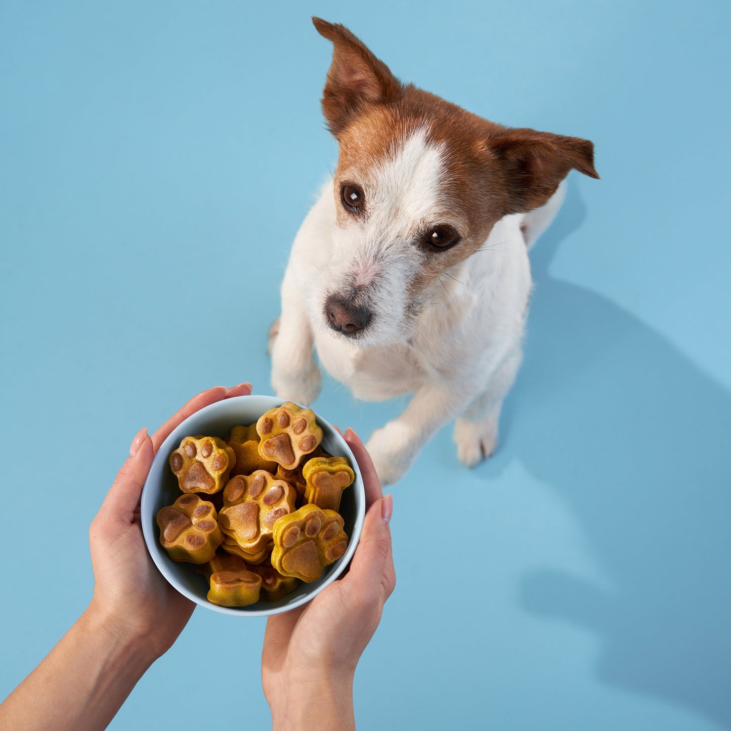 FuzzyFlavors™ | Inclusief 10 unieke recepten