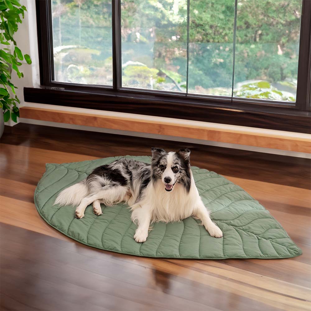 PetLeaf™ | Kalmerende Orthopedische Deken