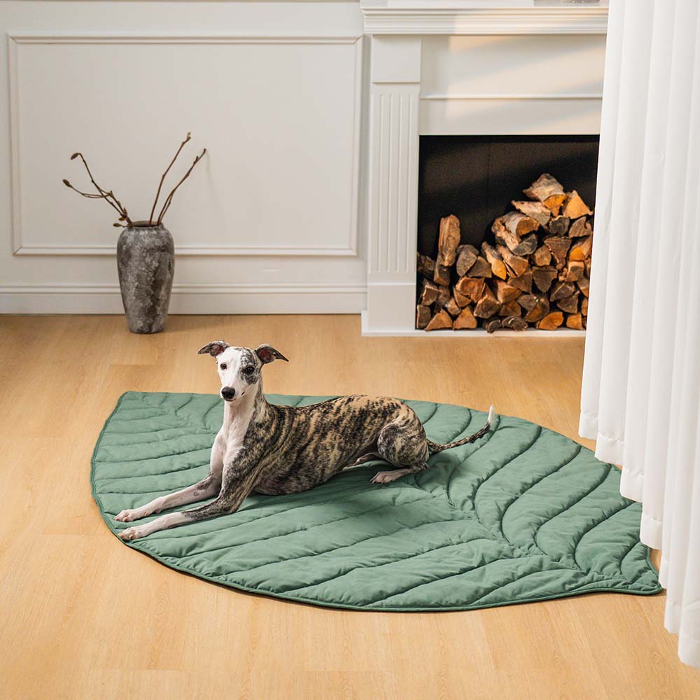PetLeaf™ | Kalmerende Orthopedische Deken