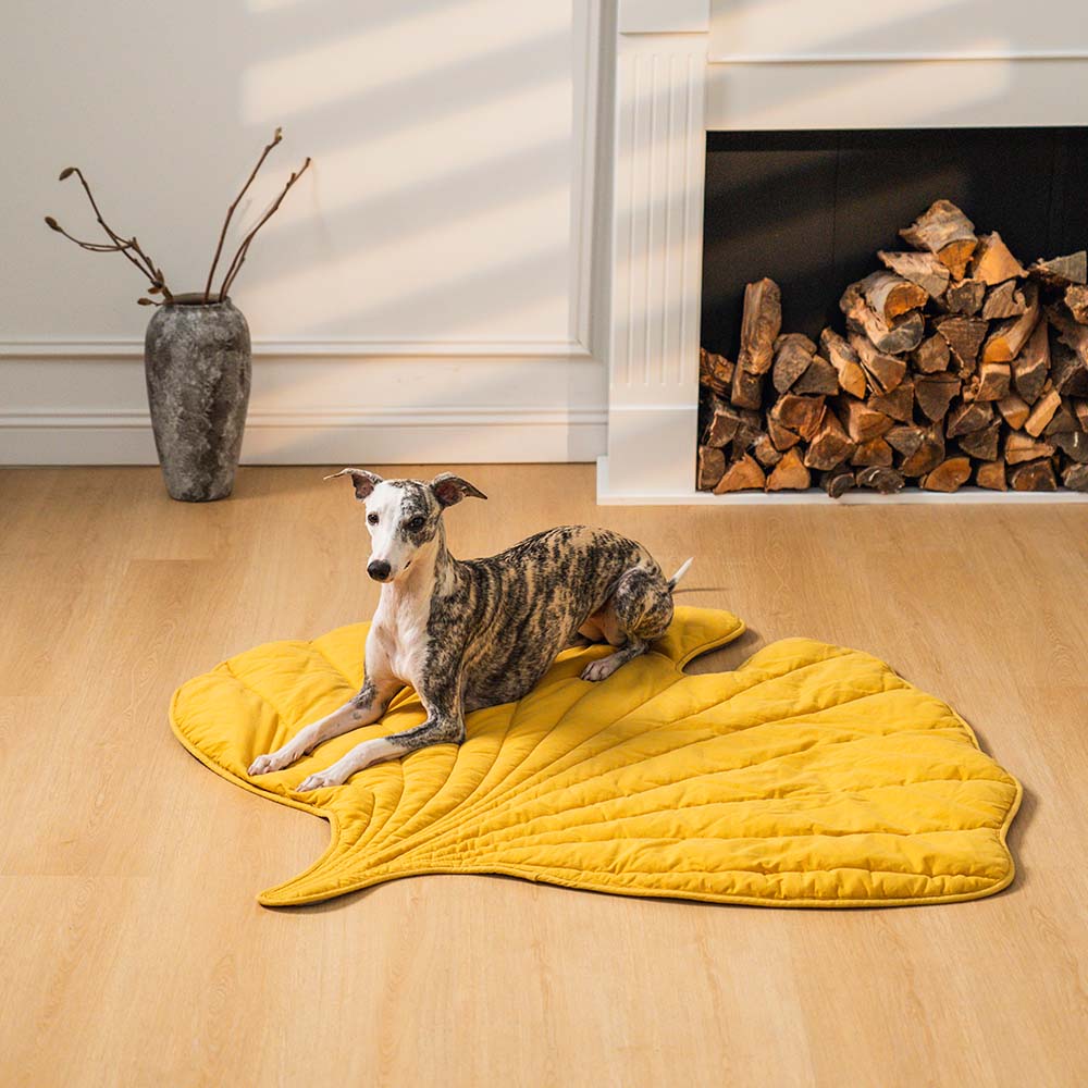 PetLeaf™ | Kalmerende Orthopedische Deken
