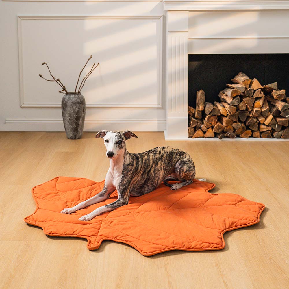 PetLeaf™ | Kalmerende Orthopedische Deken