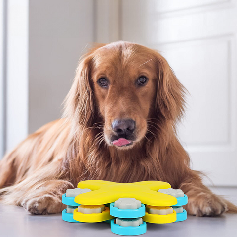 BarkBrain™ | Stimuleer Langzaam Eten en Verminder Stress