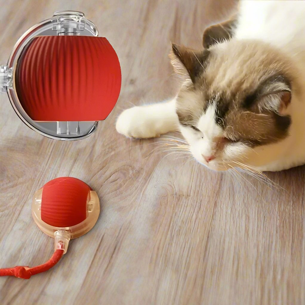 ElectroSpin™ | Speelbal met sensor voor actief spel