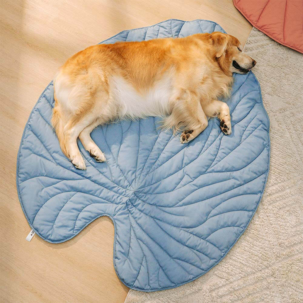 PetLeaf™ | Kalmerende Orthopedische Deken