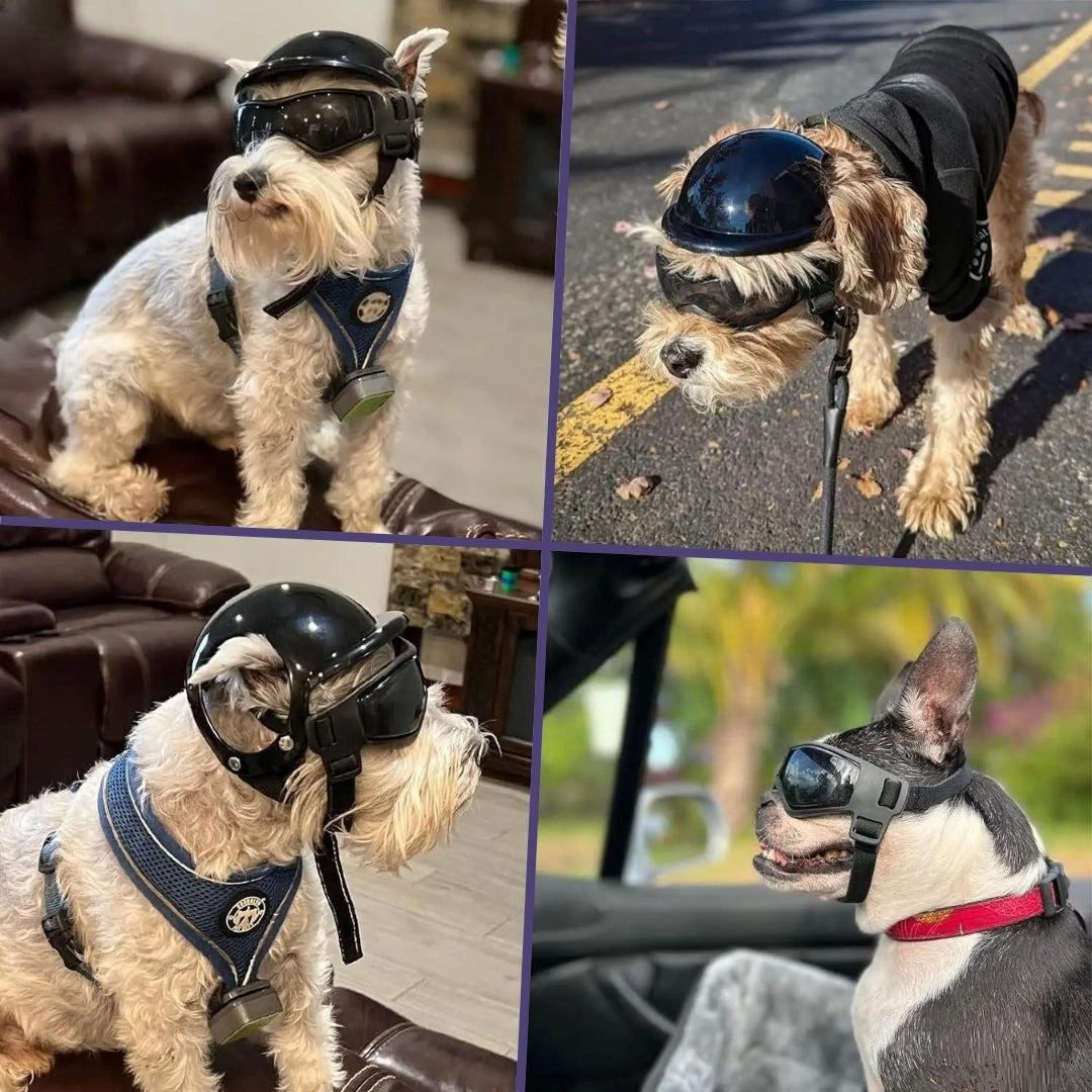 FurrBiker™ | Inclusief Gratis Beschermende Bril (t.w.v. €19.95)