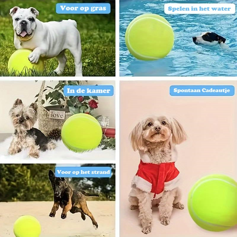 BarkBounce™ | Avontuurlijk Speelplezier