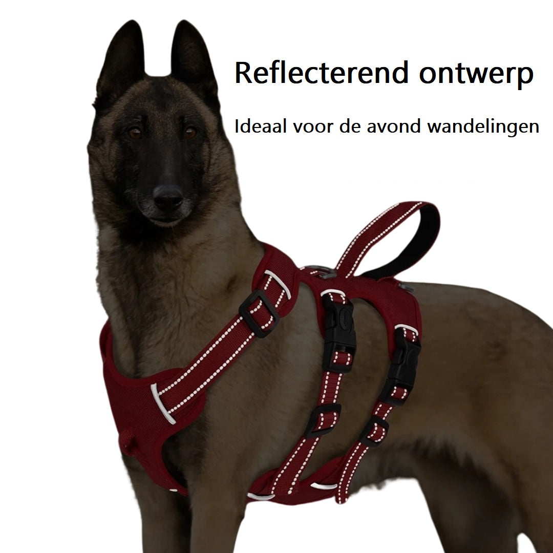 GripGuarder™ | Ontdek Comfort en Stevigheid