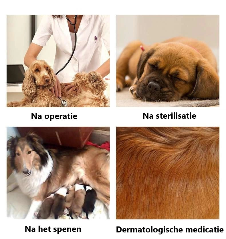 CareVest™ | Veilig herstel zonder likken of krabben