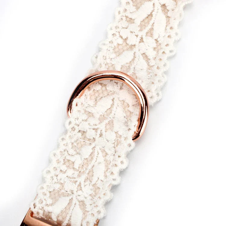 PoshPup™ | Luxe Halsbandset met Gratis Riem (t.w.v. €14,95)