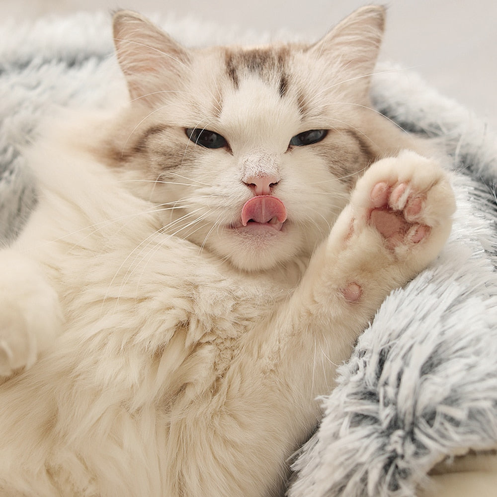 KittyCloud™ | Bevorder Ontspanning en Verminder Eenzaamheid