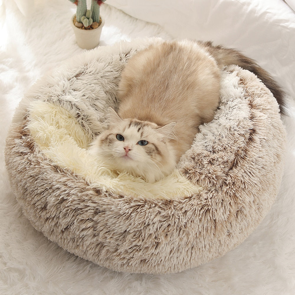 KittyCloud™ | Bevorder Ontspanning en Verminder Eenzaamheid