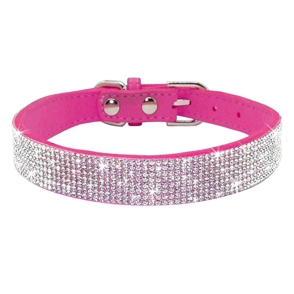 ShinePup™ | Luxe Halsband met Veiligheid