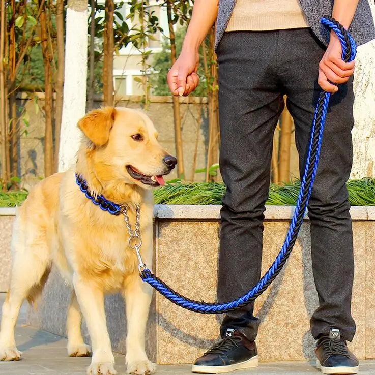 PawForge™ | Premium Grip Hondenriem