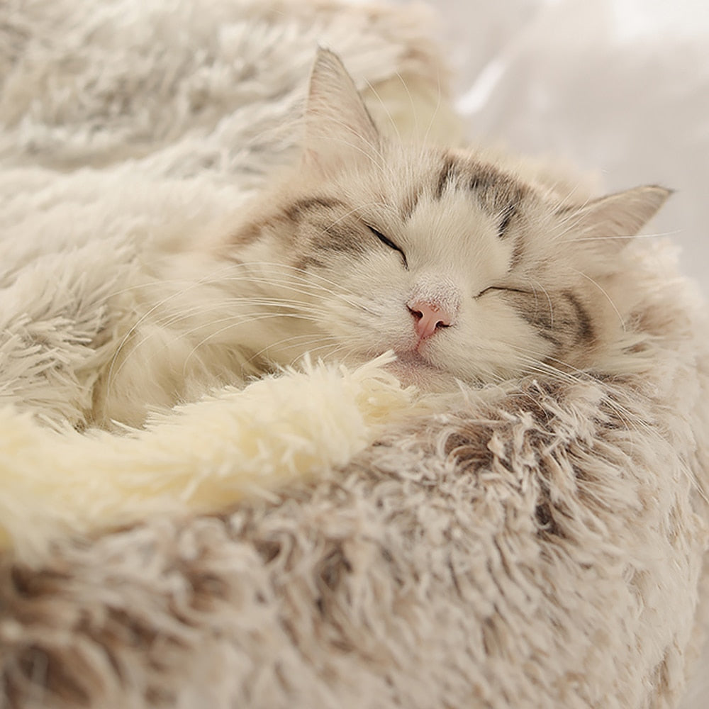 KittyCloud™ | Bevorder Ontspanning en Verminder Eenzaamheid