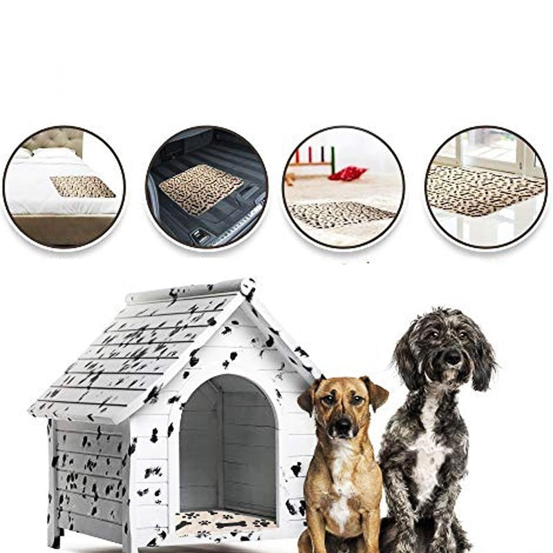 SplashSafe™ | Herbruikbare honden plasmat