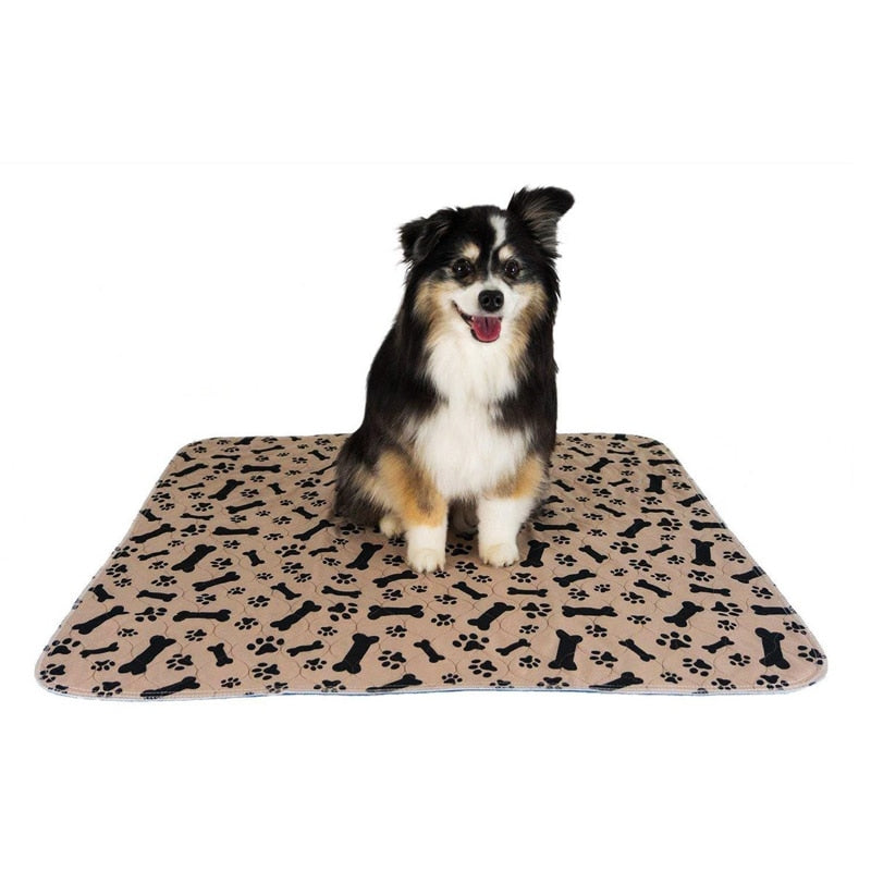 SplashSafe™ | Herbruikbare honden plasmat
