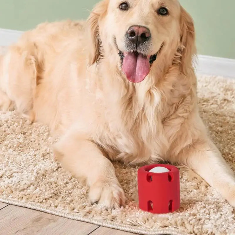 RolliePaw™ | Actief Speelgoed voor Honden