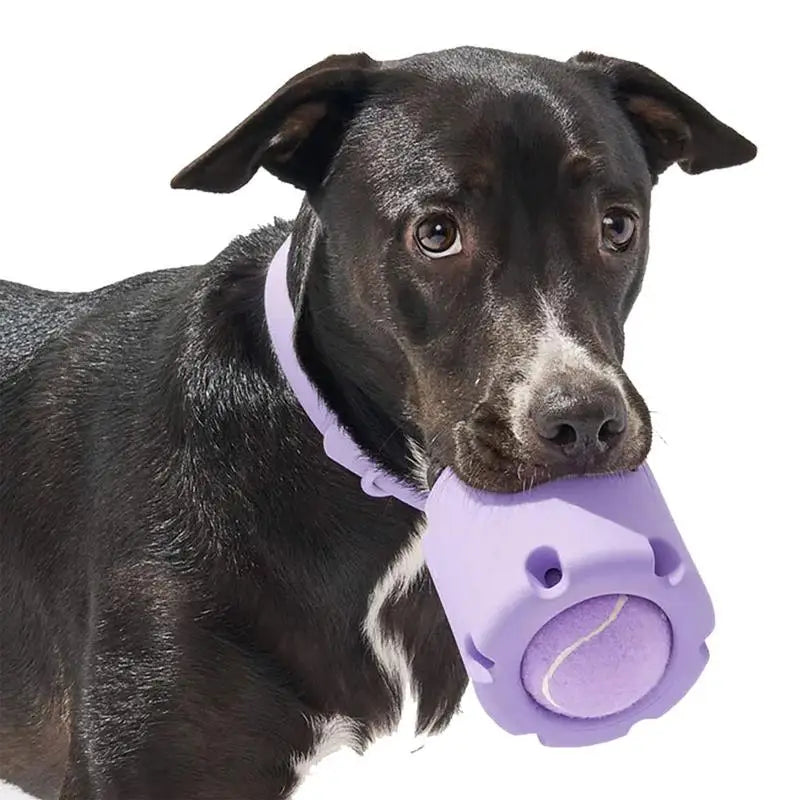 RolliePaw™ | Actief Speelgoed voor Honden