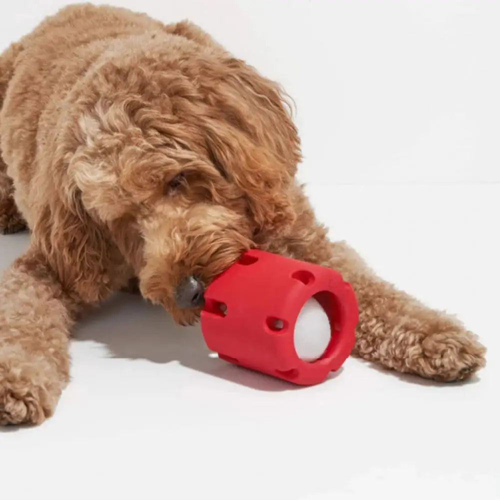 RolliePaw™ | Actief Speelgoed voor Honden